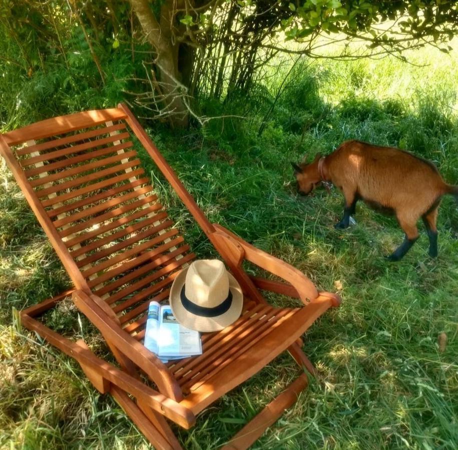 Casa Rural Lineiros ムシア エクステリア 写真